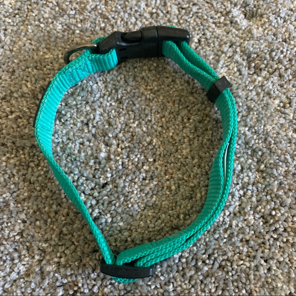 Dog Collar by Top Paw, Teal Green Break Away Style